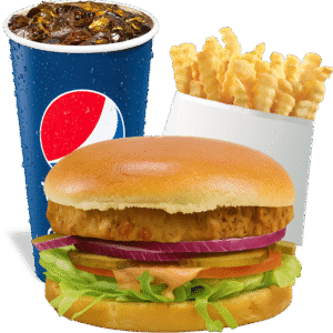 Veggie Burger Combo